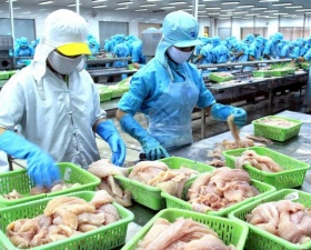 Cung cấp lao động đóng gói sản phẩm 01