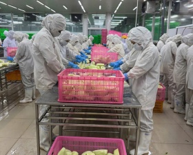 Cung cấp lao động đóng gói sản phẩm 