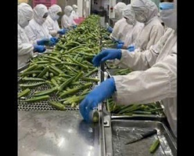Cung cấp nhân lực đóng gói sản phẩm